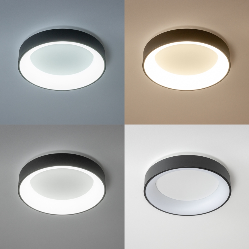 Brilagi - LED griestu lampa ar regulējamu spilgtumu FALCON LED/80W/230V 3000-6500K Ø 60 cm melna + tālvadības pults