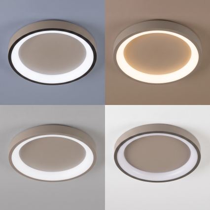 BRILAGI - LED dimējams griestu gaismeklis FALCON SLIM LED/42W/230V 3000-6500K Ø 50 cm bēšs + tālvadības pults