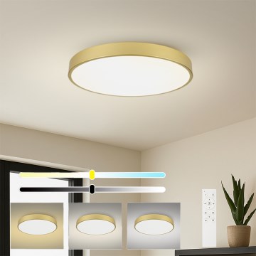 Brilagi - Regulējams LED griestu gaismeklis POOL SMART LED/100W/230V 3000-6000K 80 cm zelta Wi-Fi Tuya + tālvadības pults