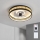 Brilagi - Regulējams LED griestu ventilators, 34 W, 230 V, 3000–6500 K, Ø 50 cm, melns/zelts + tālvadības pults