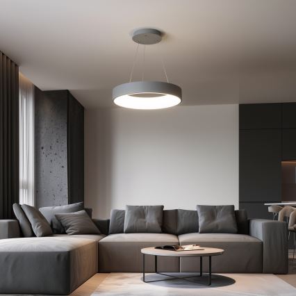 Brilagi - LED lustra ar regulējamu spilgtumu uz troses FALCON LED/80W/230V 3000-6500K Ø 60 cm pelēka + tālvadības pults