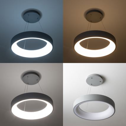 Brilagi - LED lustra ar regulējamu spilgtumu uz troses FALCON LED/80W/230V 3000-6500K Ø 60 cm pelēka + tālvadības pults