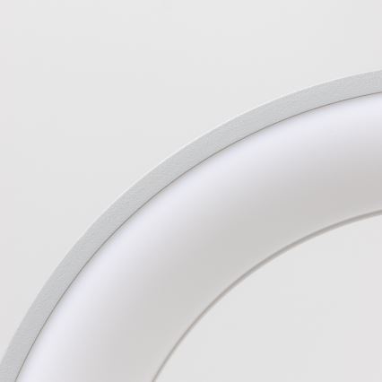 Brilagi - LED lustra ar regulējamu spilgtumu uz troses FALCON LED/80W/230V 3000-6500K Ø 60 cm pelēka + tālvadības pults