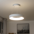 Brilagi - regulējams LED lustrs uz troses FALCON LED/40W/230V 3000–6500K Ø45 cm balts + ar tālvadības pulti