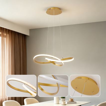 BRILAGI - LED regulējama lustra uz troses INFINITY LED/55W/230V 3000-6000K 50x50 cm zelta + tālvadība