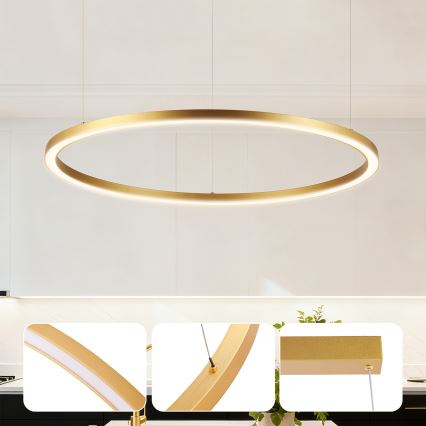 Brilagi - PORTOFINO regulējams LED lustrs uz kabeļa LED/60W/230V 3000-6000K diam. 80 cm zelta + ar tālvadības pulti
