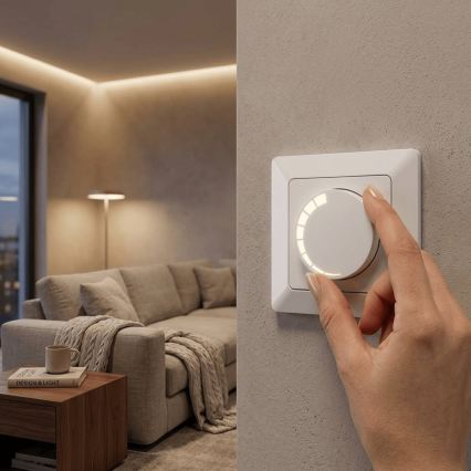 BRILAGI - Rotējošs gaismas regulators ar rāmīti 110W/230V balts