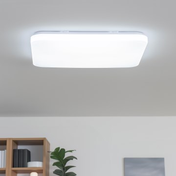 Brilagi - SHINE LED dimējams griestu gaismeklis LED/24W/230V Ø 60 cm 3000/4000/6500K krēmkrāsas + tālvadības pults