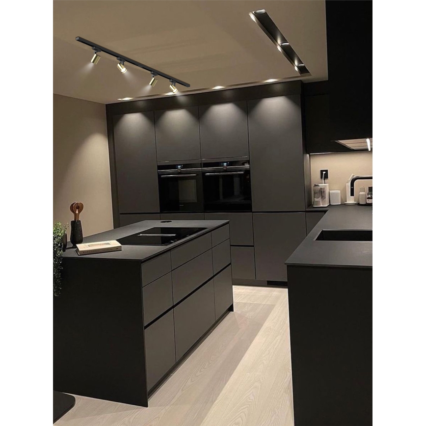 Brilagi - Sliežu sistēmas virziena gaismeklis HUSKY 4xGU10/10W/230V melns/zelts