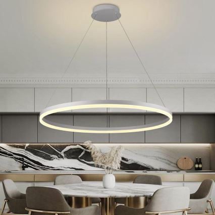 Brilagi - LED dimējama pakaramā lampa uz troses CIRCLE LED/55W/230V 3000-6500K + tālvadība