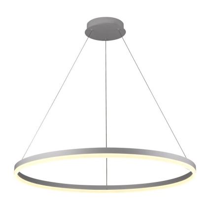Brilagi - LED dimējama pakaramā lampa uz troses CIRCLE LED/55W/230V 3000-6500K + tālvadība