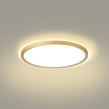 Brilagi - ULTRA PLĀNS LED vannas istabas griestu gaismeklis, 18 W, 230 V, Ø 30 cm, zelta, IP54