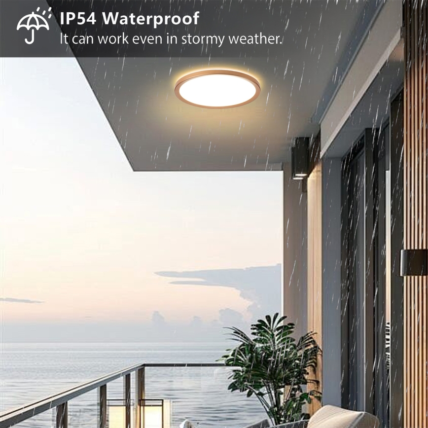 Brilagi - LED griestu lampa vannas istabai ULTRA SLIM LED/24W/230V Ø 42 cm rozā zelta IP54