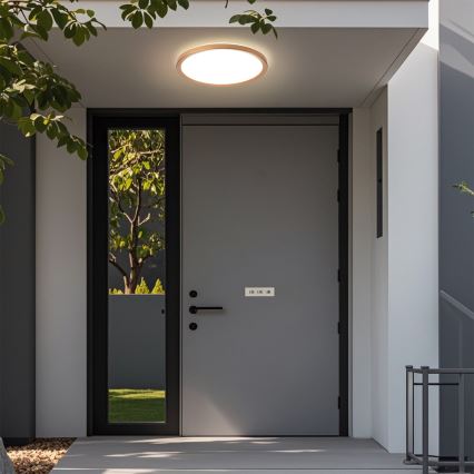 Brilagi - LED griestu lampa vannas istabai ULTRA SLIM LED/24W/230V Ø 42 cm rozā zelta IP54