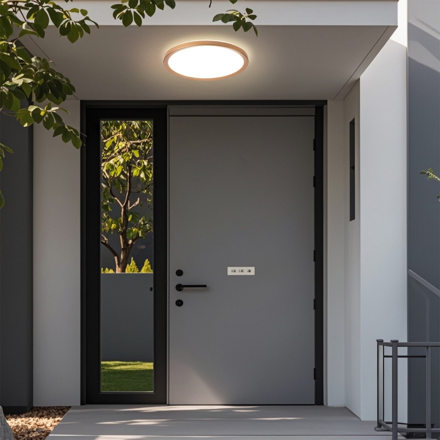 Brilagi - LED griestu lampa vannas istabai ULTRA SLIM LED/24W/230V Ø 42 cm rozā zelta IP54