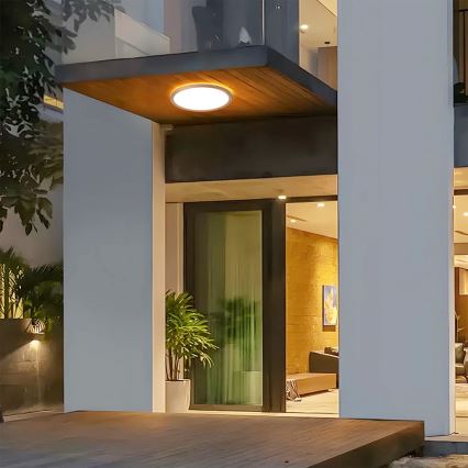 Brilagi - LED griestu lampa vannas istabai ULTRA SLIM LED/24W/230V Ø 42 cm rozā zelta IP54