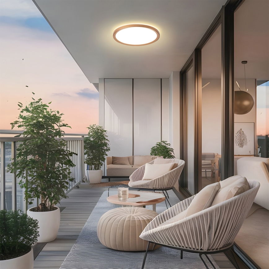 Brilagi - LED griestu lampa vannas istabai ULTRA SLIM LED/24W/230V Ø 42 cm rozā zelta IP54