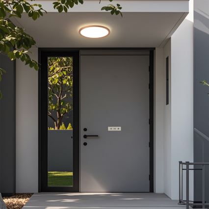 Brilagi - LED vannas istabas griestu lampa ULTRA SLIM LED/12W/230V Ø22,5 cm rožu zelts IP54