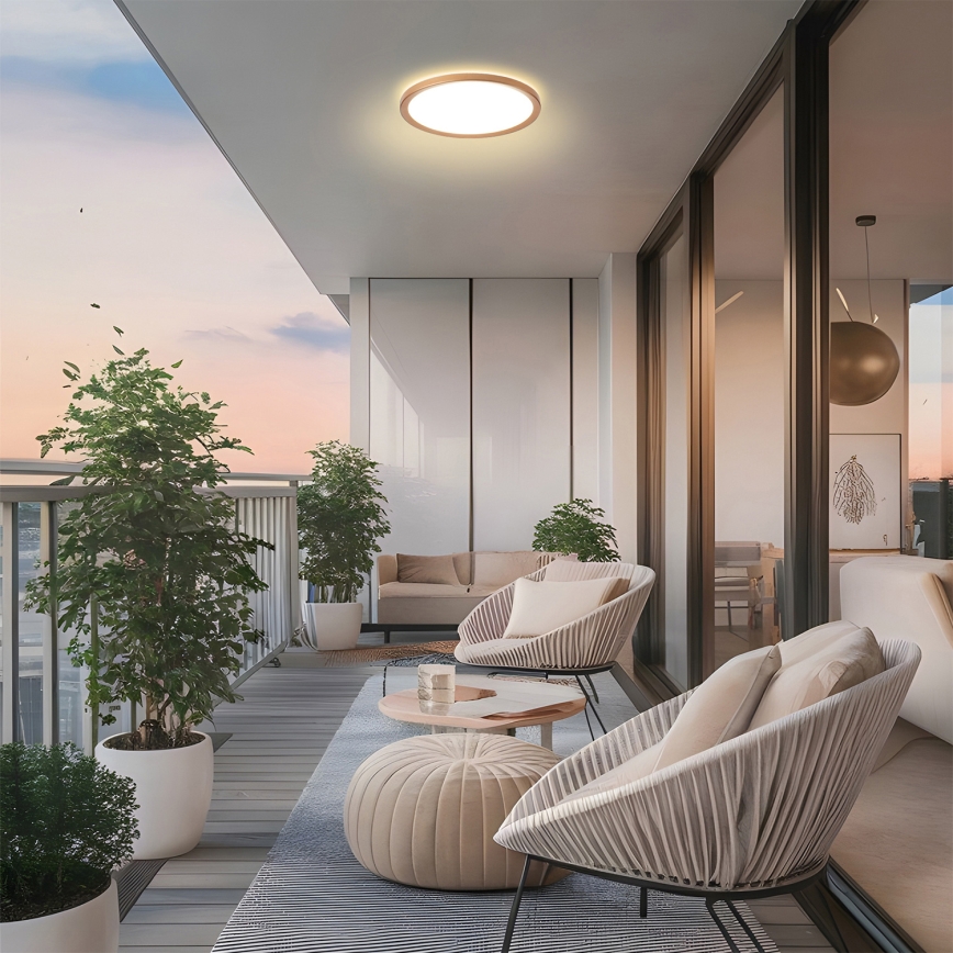 Brilagi - LED vannas istabas griestu lampa ULTRA SLIM LED/12W/230V Ø22,5 cm rožu zelts IP54