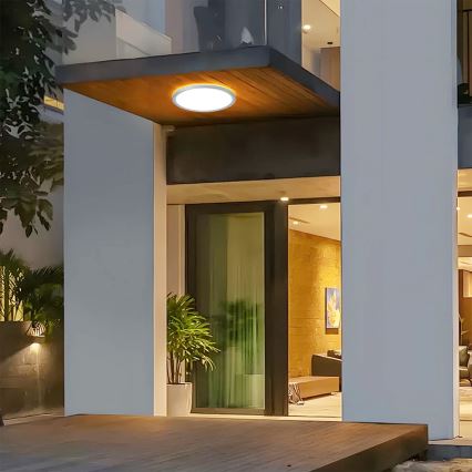 Brilagi - LED vannas istabas griestu gaismeklis ULTRA SLIM LED/24W/230V Ø 42 cm sudraba IP54