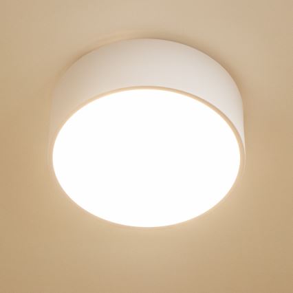 BRILAGI - Vannas istabas griestu gaismeklis POOL 2xE27/15W/230V Ø 30 cm IP54 balts