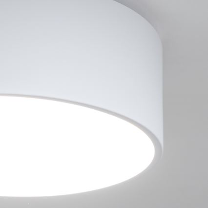 BRILAGI - Vannas istabas griestu gaismeklis POOL 2xE27/15W/230V Ø 30 cm IP54 balts