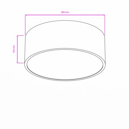 BRILAGI - Vannas istabas griestu gaismeklis POOL 2xE27/15W/230V Ø 30 cm IP54 balts