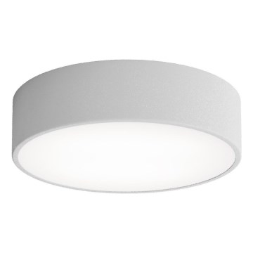 Brilagi - Vannas istabas griestu lampa CLARE 2xE27/24W/230V d. 30 cm IP54 pelēka