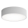 Brilagi - Vannas istabas griestu lampa CLARE 2xE27/24W/230V d. 30 cm IP54 pelēka