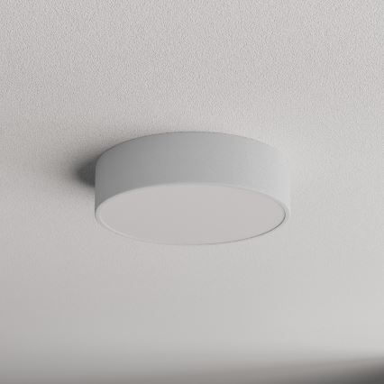 Brilagi - Vannas istabas griestu lampa CLARE 2xE27/24W/230V d. 30 cm IP54 pelēka