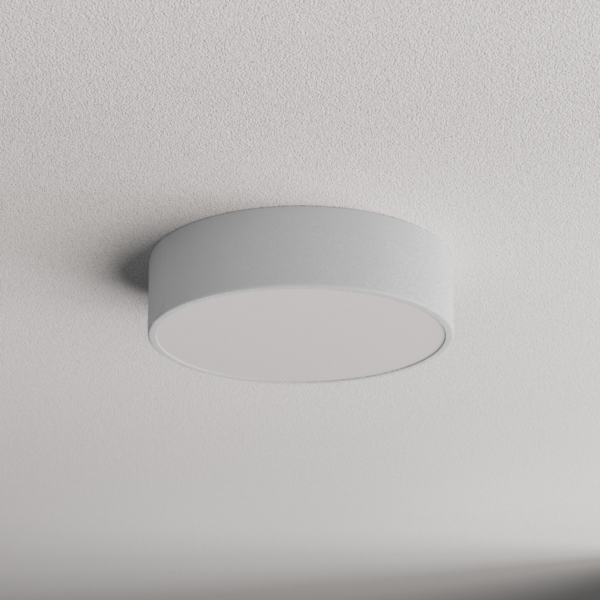 Brilagi - Vannas istabas griestu lampa CLARE 2xE27/24W/230V d. 30 cm IP54 pelēka
