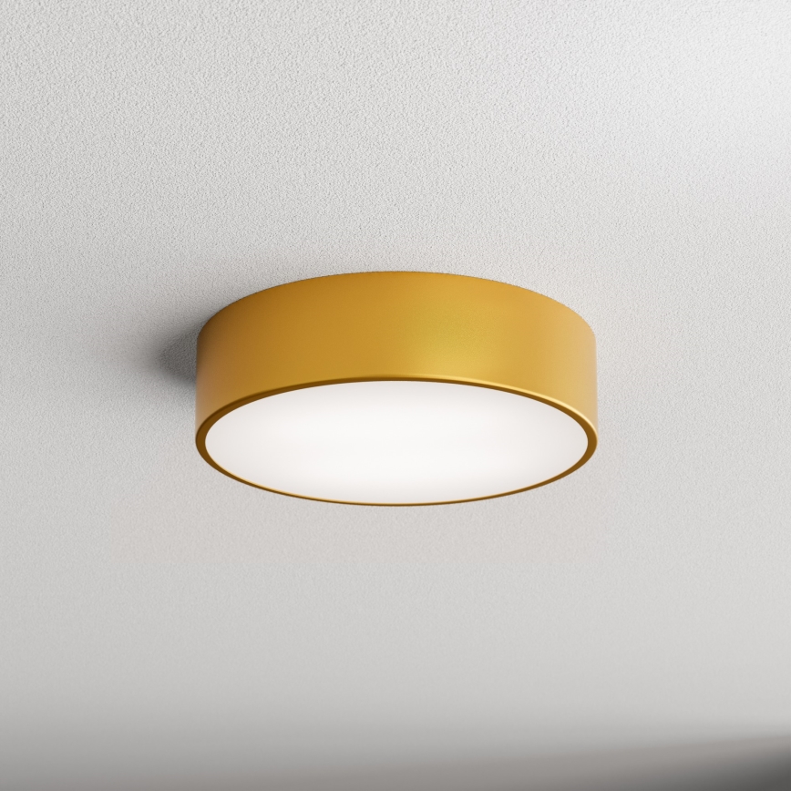 Brilagi - Vannas istabas griestu lampa CLARE 3xE27/24W/230V d. 30 cm IP54 zelta