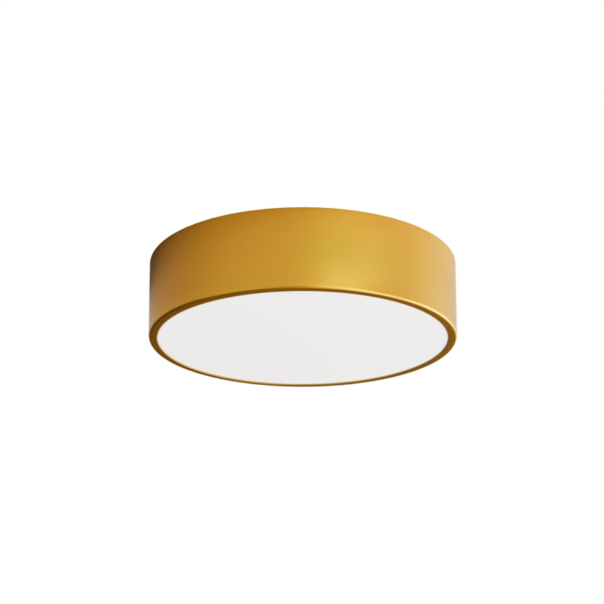 Brilagi - Vannas istabas griestu lampa CLARE 3xE27/24W/230V d. 30 cm IP54 zelta
