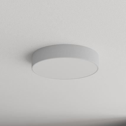 Brilagi - Vannas istabas griestu lampa CLARE 3xE27/24W/230V d. 40 cm IP54 pelēka