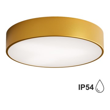 Brilagi - Vannas istabas griestu lampa CLARE 3xE27/24W/230V d. 40 cm IP54 zelta