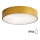 Brilagi - Vannas istabas griestu lampa CLARE 3xE27/24W/230V d. 40 cm IP54 zelta