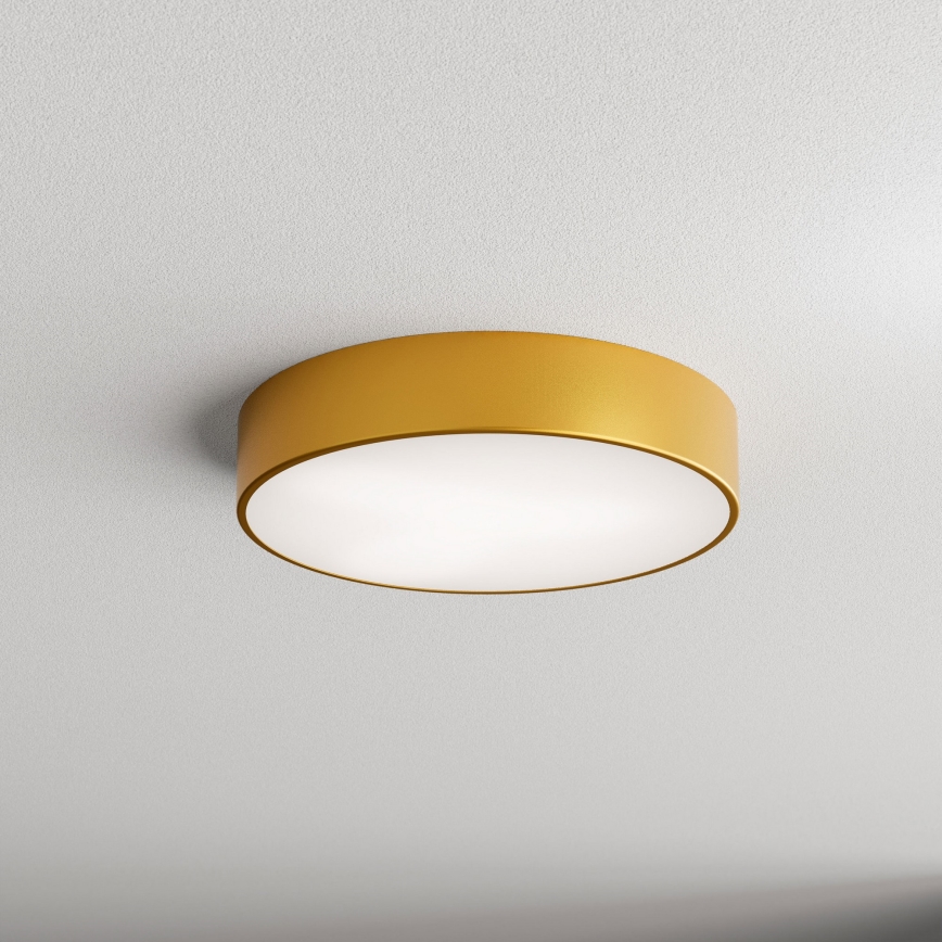 Brilagi - Vannas istabas griestu lampa CLARE 3xE27/24W/230V d. 40 cm IP54 zelta