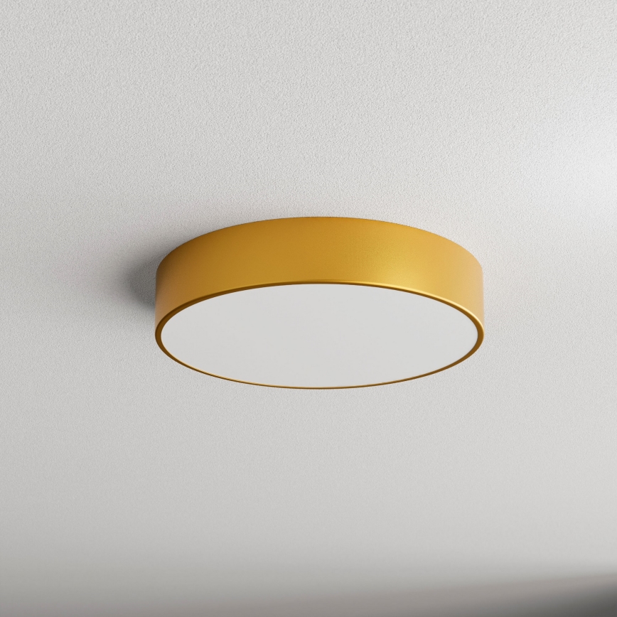 Brilagi - Vannas istabas griestu lampa CLARE 3xE27/24W/230V d. 40 cm IP54 zelta