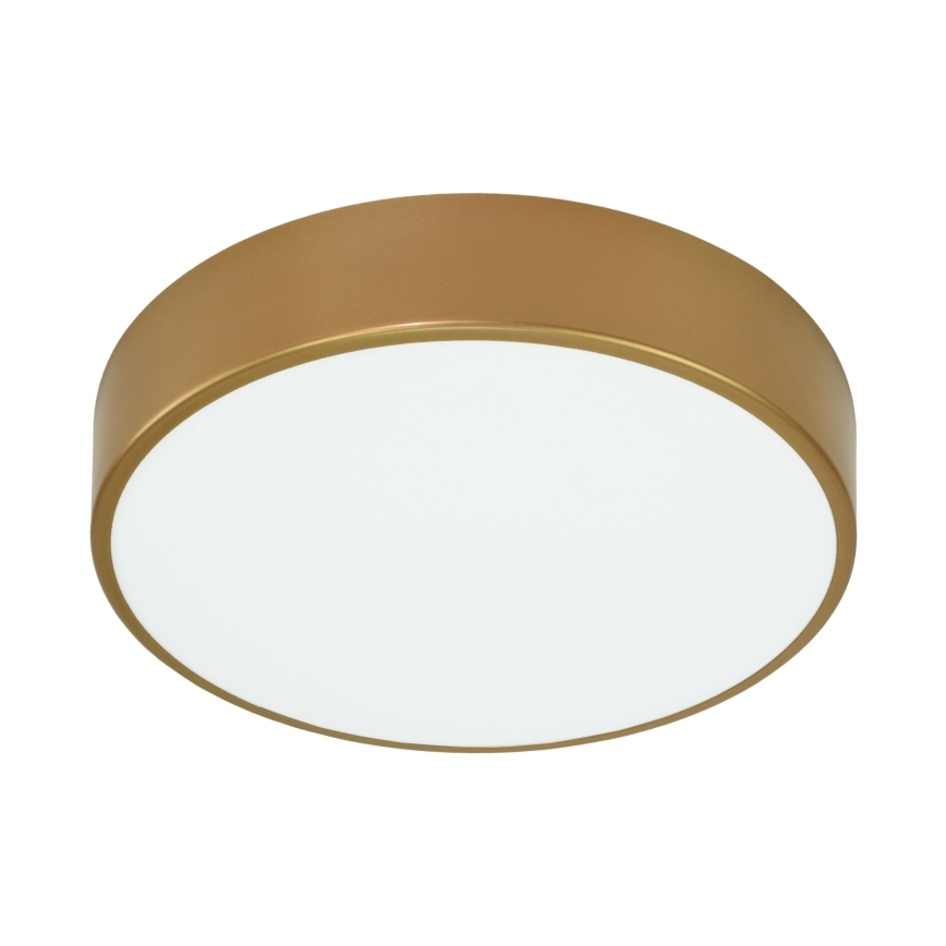 Brilagi - Vannas istabas griestu lampa CLARE 3xE27/24W/230V d. 40 cm IP54 zelta