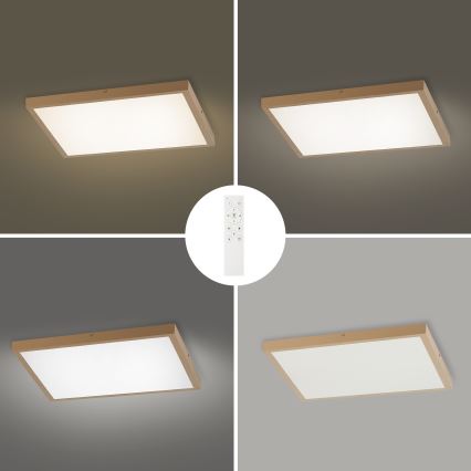 Brilagi - LED Dimējama vannas istabas griestu lampa FRAME SMART LED/50W/230V 60x60 cm 3000-6000K IP44 bēša + tālvadības pults