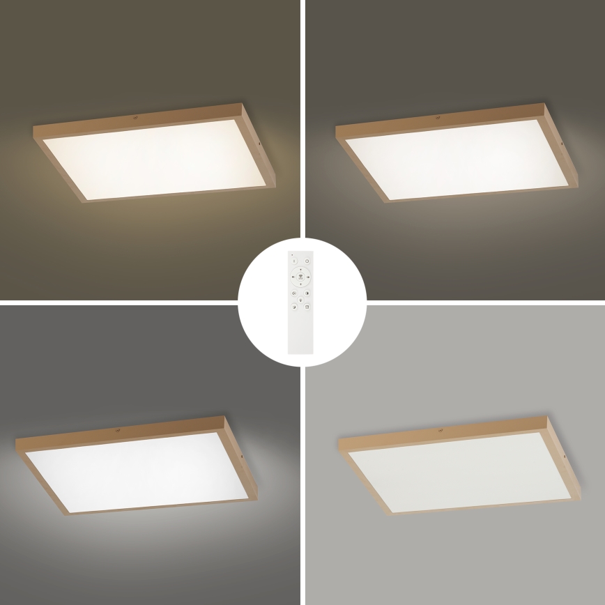 Brilagi - LED Dimējama vannas istabas griestu lampa FRAME SMART LED/50W/230V 60x60 cm 3000-6000K IP44 bēša + tālvadības pults
