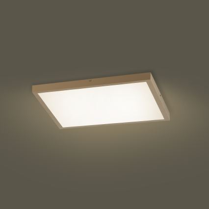 Brilagi - LED Dimējama vannas istabas griestu lampa FRAME SMART LED/50W/230V 60x60 cm 3000-6000K IP44 bēša + tālvadības pults