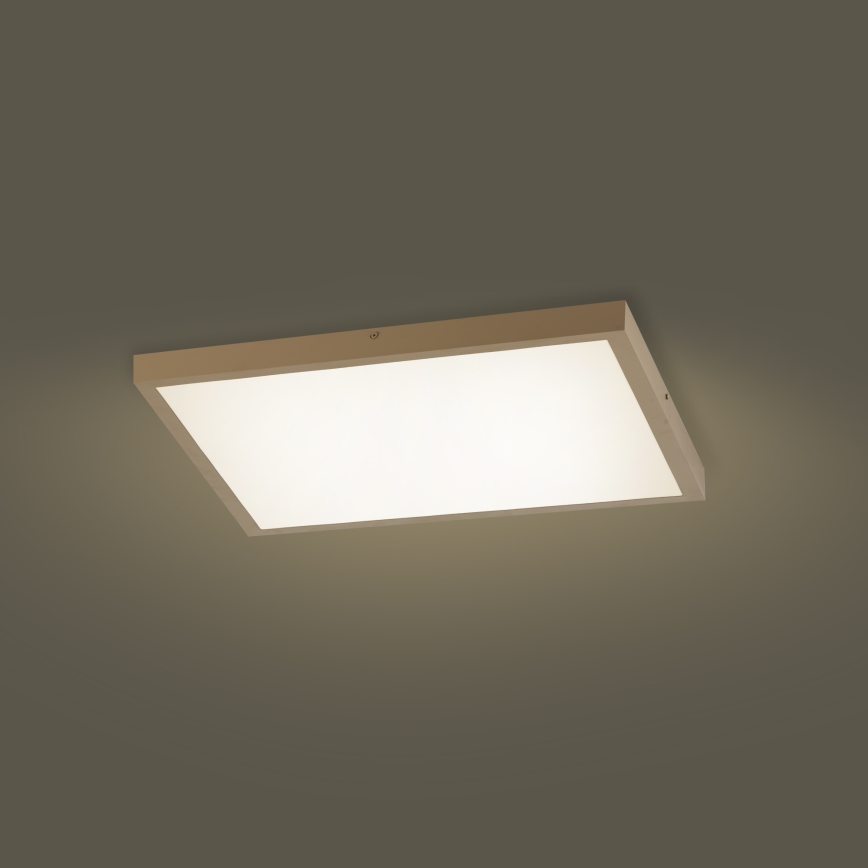 Brilagi - LED Dimējama vannas istabas griestu lampa FRAME SMART LED/50W/230V 60x60 cm 3000-6000K IP44 bēša + tālvadības pults