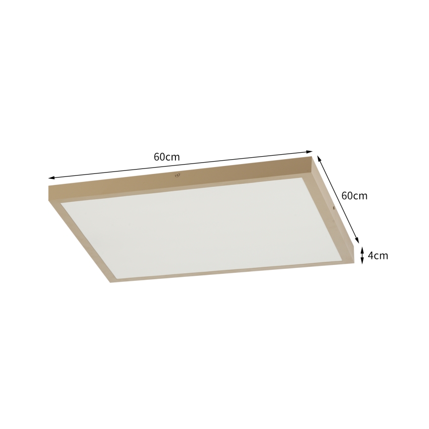 Brilagi - LED Dimējama vannas istabas griestu lampa FRAME SMART LED/50W/230V 60x60 cm 3000-6000K IP44 bēša + tālvadības pults