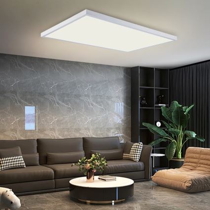 Brilagi - LED vannas istabas griestu gaismeklis FRAME LED/96W/230V 120x60 cm 3000/4000/6000K IP44 balta