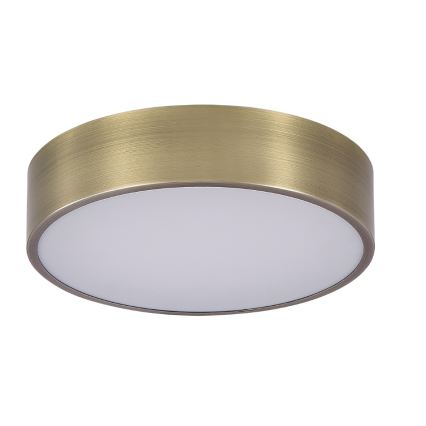 Brilagi - LED vannas istabas griestu gaismeklis POOL LED/24W/230V 3000/4000/5500K pr. 30 cm IP54 misiņš