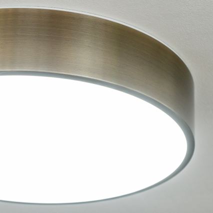BRILAGI - LED vannas istabas griestu gaismeklis POOL LED/24W/230V 3000/4000/5500K pr. 30 cm IP54 misiņš
