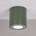 BRILAGI - Vannas istabas spot gaismeklis MIA 1xGU10/30W/230V 60x82 mm 84x80 mm tumši zaļš IP54