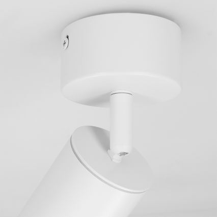 Brilagi - Vannas istabas starmetis SELE 1xGU10/30W/230V IP44 balta
