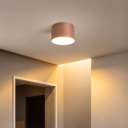 BRILAGI - Vannas istabas griestu lampa FORIS LED/9W/230V Ø 9 cm bronzas krāsas IP44 CRI 90